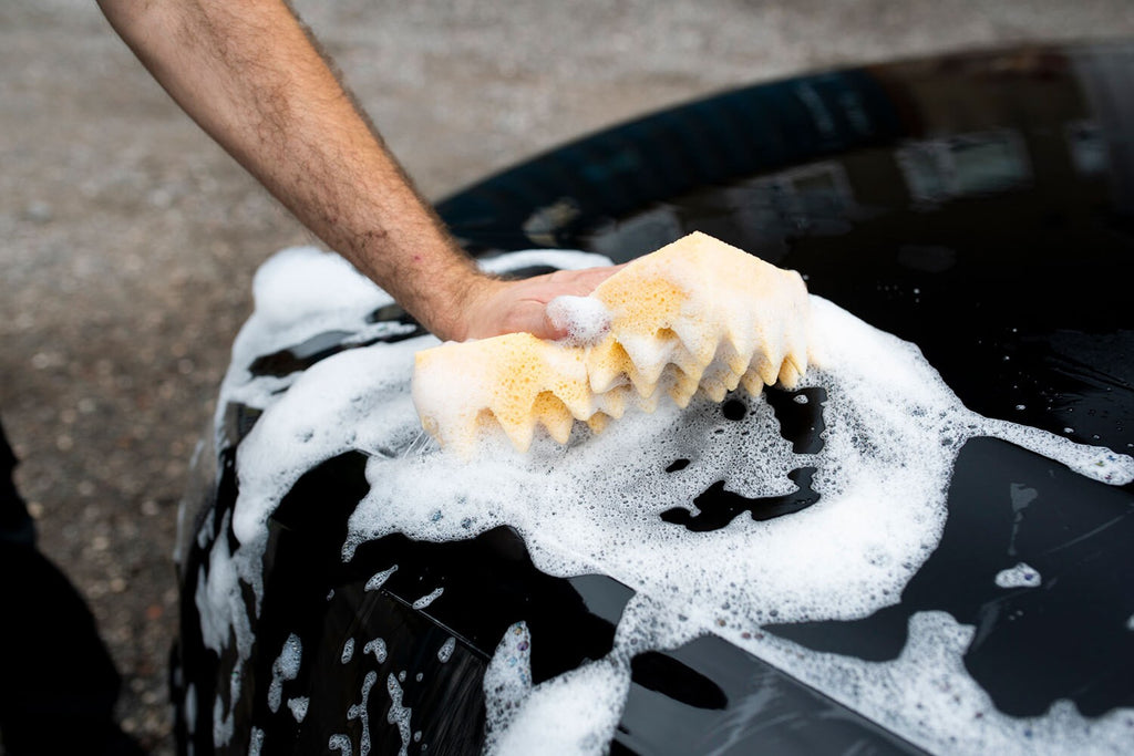 Sponge Guru- Ultimate Sponge Car Care Kit